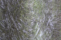 Wimpole fibreglass roof work